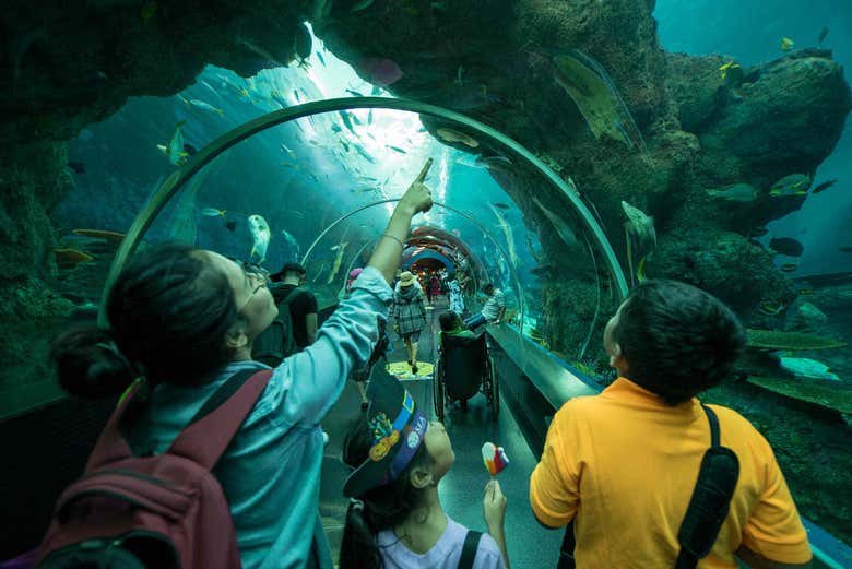 S.E.A. Aquarium