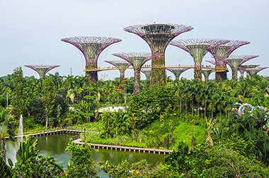 Gardens by the Bay