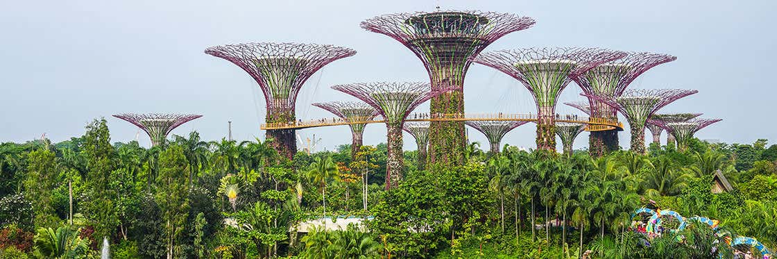 Gardens by the Bay