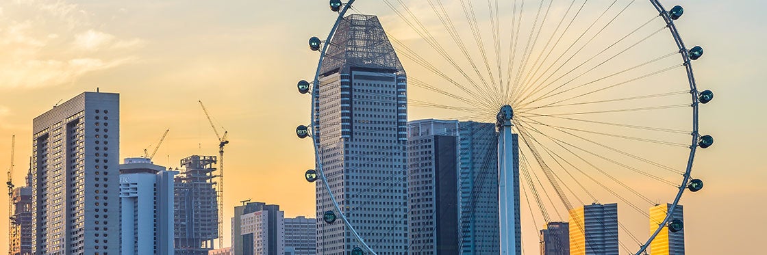 La ruota panoramica di Singapore