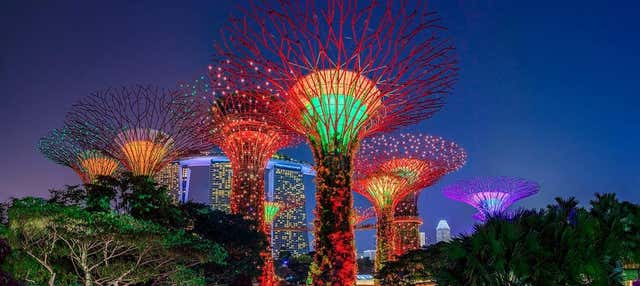 Tour ao entardecer por Singapura + Espetáculos de luz e som + Cruzeiro