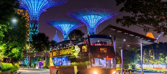 Tour nocturno en autobús descapotable por Singapur