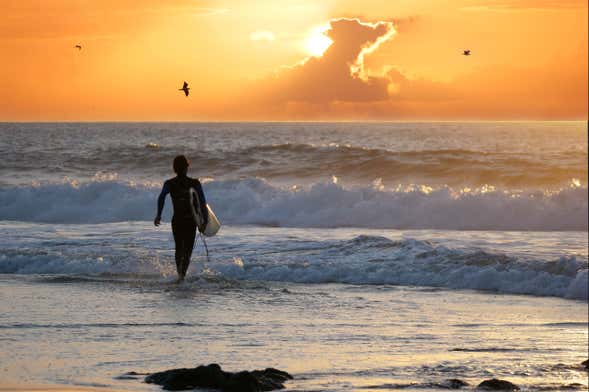 Curso de surf en Arugam Bay