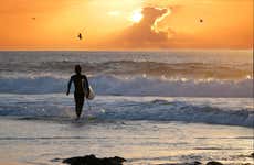 Cours de surf à Arugam Bay