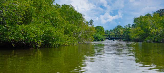 Excursion privée à Balapitiya + élevage de tortues de Kosgoda