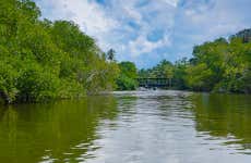 Excursión privada a Balapitiya + Criadero de tortugas de Kosgoda