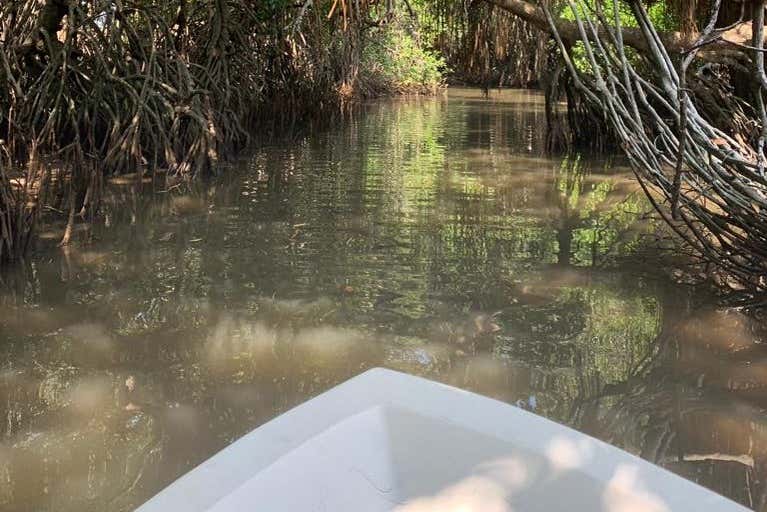 Sailing through the mangroves of Bentota