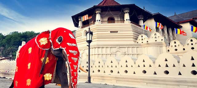 Aluguel de carro com motorista em Colombo 