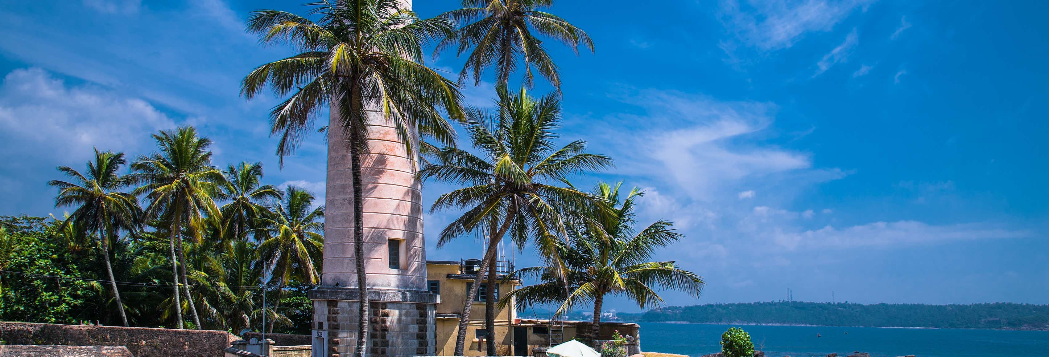 Excursiones de un día en Colombo