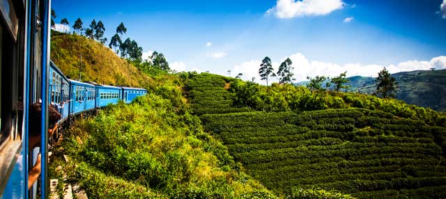 Excursión privada a Kandy