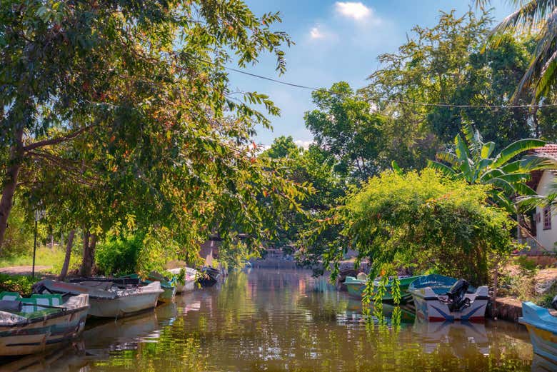Canal do lago de Negombo