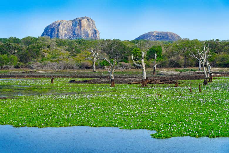 Parque Nacional de Yala