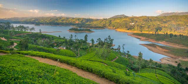 Tour privado de 2 días por Nuwara Eliya
