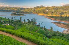 Tour privado de 2 días por Nuwara Eliya