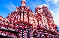 Visita guiada por Colombo