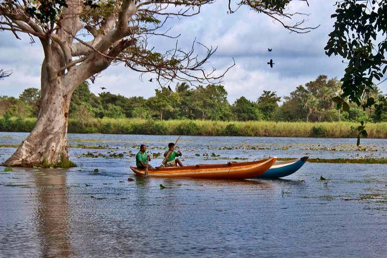 Navigando sul lago Habarana