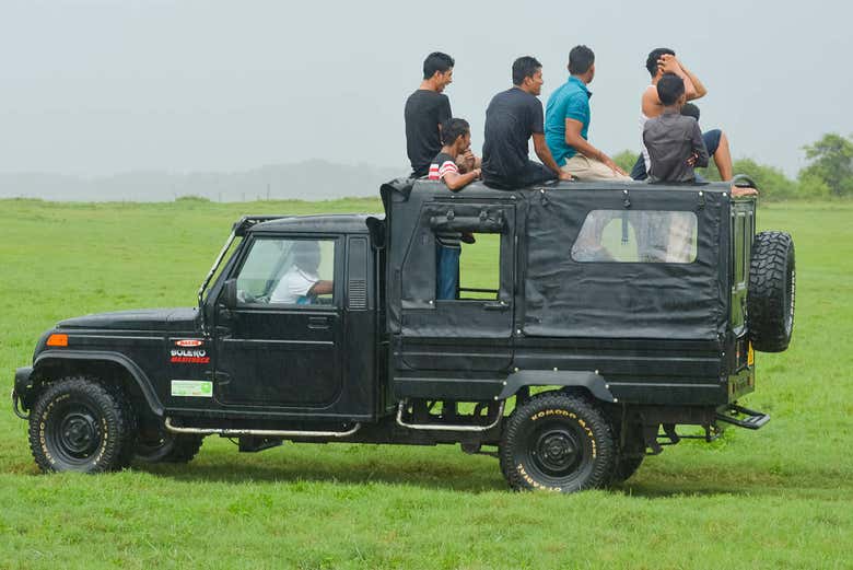 Safari al Parco Nazionale Wilpattu