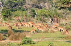 Wilpattu National Park Private Safari
