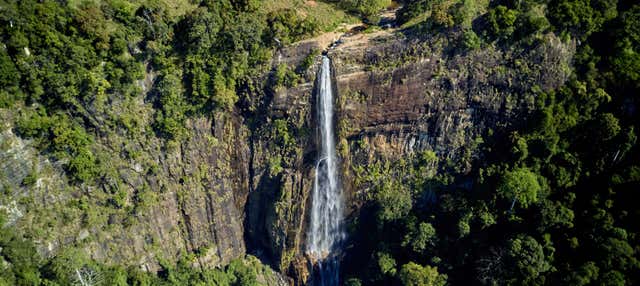 Private Day Trip to Diyaluma Falls