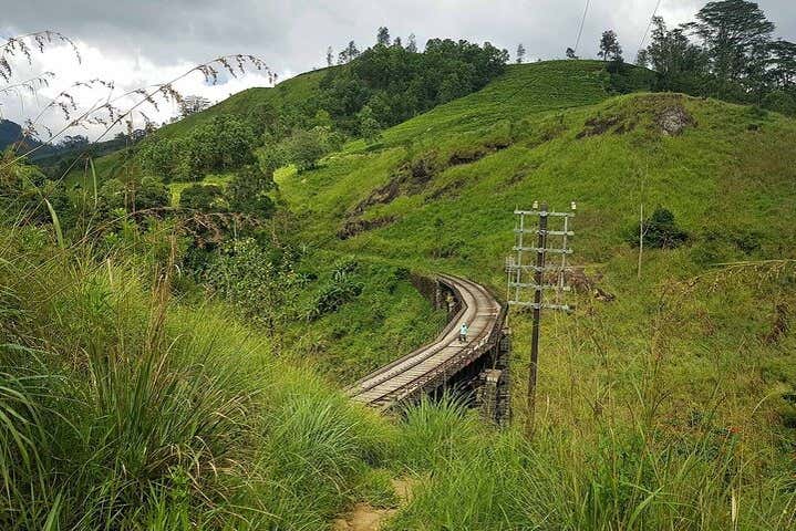 Check out the famous Demodara Loop!