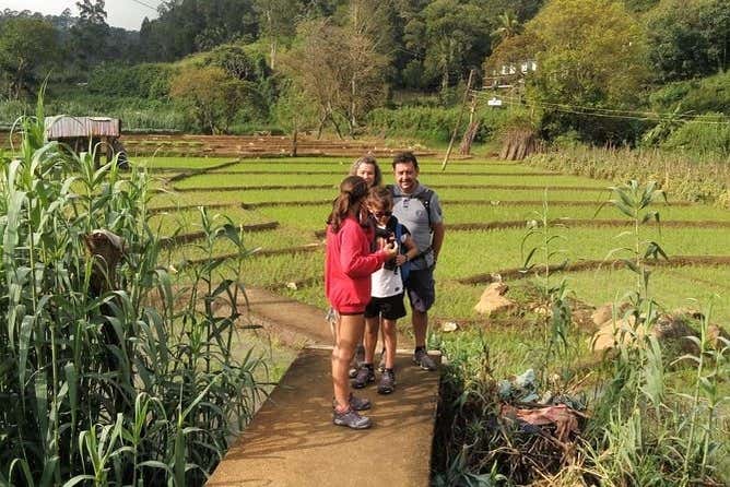 Parcourez les sentiers de Little Adam's Peak