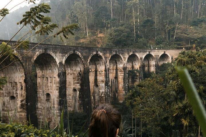 Learn insights into this engineering marvel