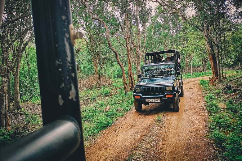 On the all-terrain vehicle