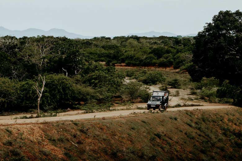 Exploring Yala National Park