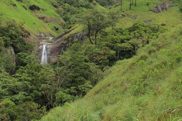 Cascata nel bosco lussureggiante