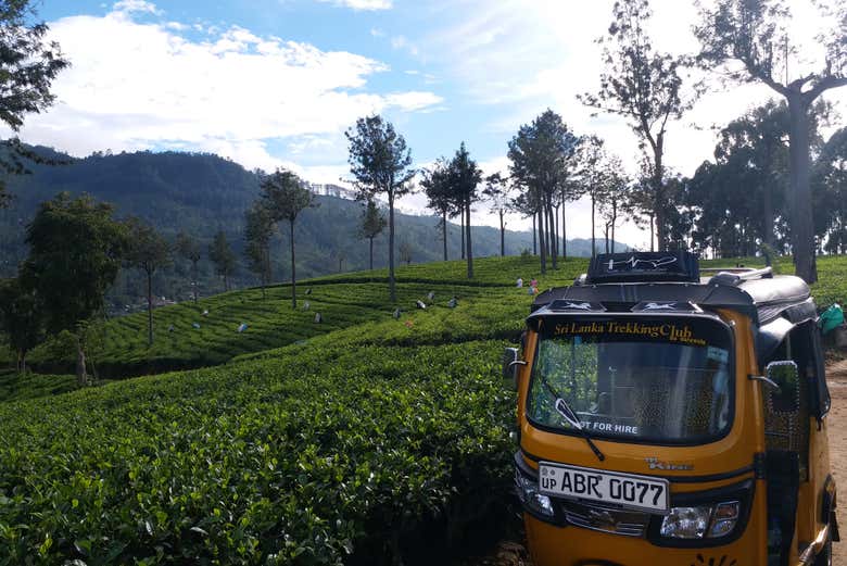 Tuk tuk durante la actividad