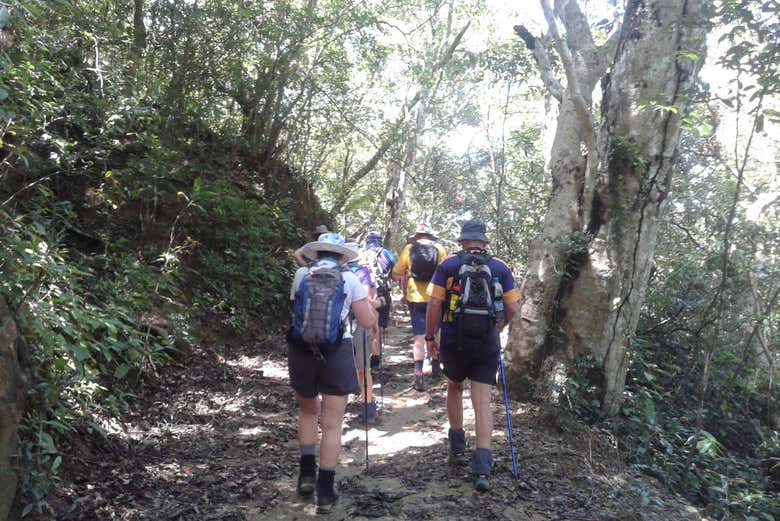 Hiking through eucalyptus forests