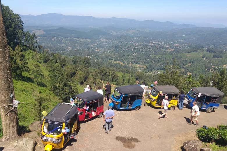 Tour en tuk tuk por las plantaciones de té