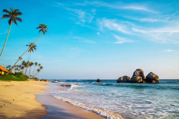 Curso de surf en Hikkaduwa