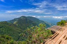 Excursión privada al Parque Nacional de las Llanuras de Horton