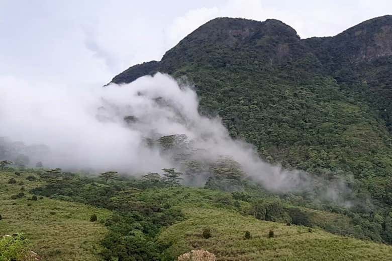 Brume tombant sur la chaîne de montagnes Knuckles