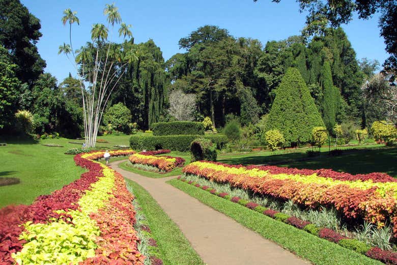 Il Giardino Botanico di Peradeniya