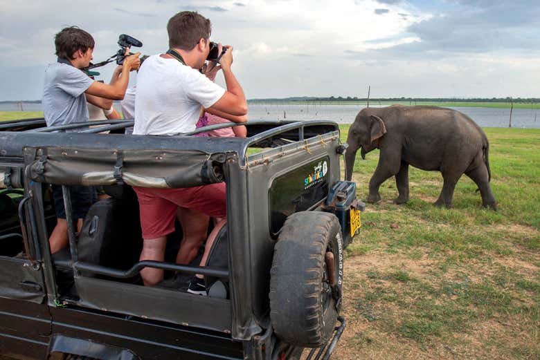 Safari around Kaudulla
