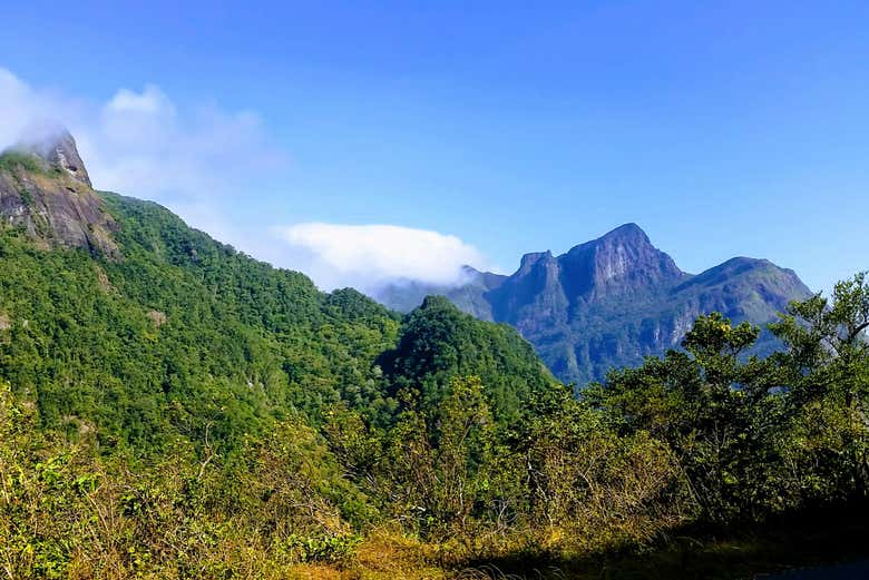 Cordillère de Knuckles
