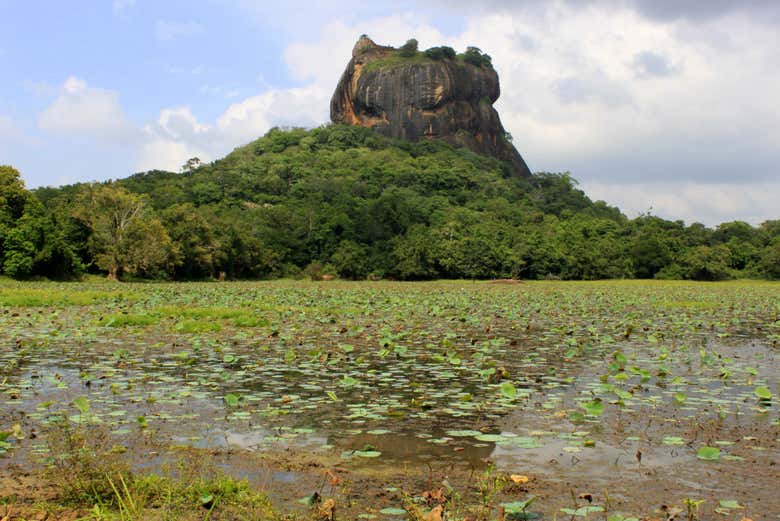 La Roccia del Leone di Sigiriya