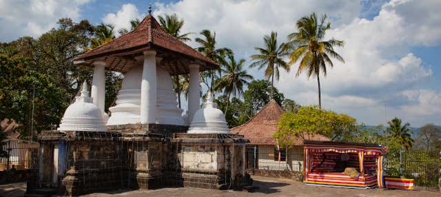 Tour privado por los templos de Kandy