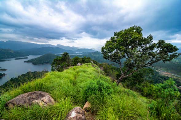 Ruta privada de trekking por la cordillera Knuckles