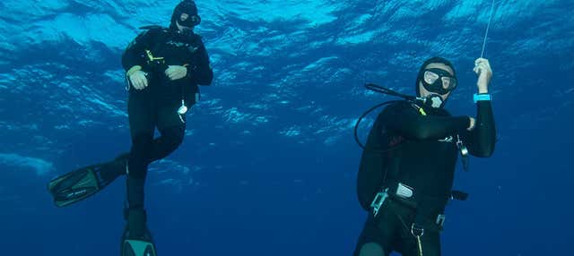 Scuba Diving in Mirissa