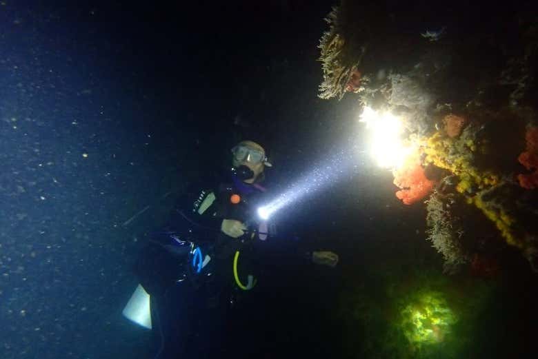 Buceo nocturno