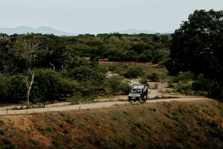 Recorreremos el Parque Nacional de Yala en un 4x4