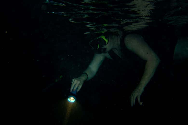Snorkel nocturno