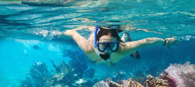 Snorkel en Mirissa