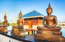 Excursión privada a Colombo