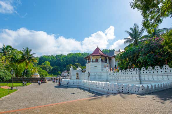 Private Kandy Day Trip