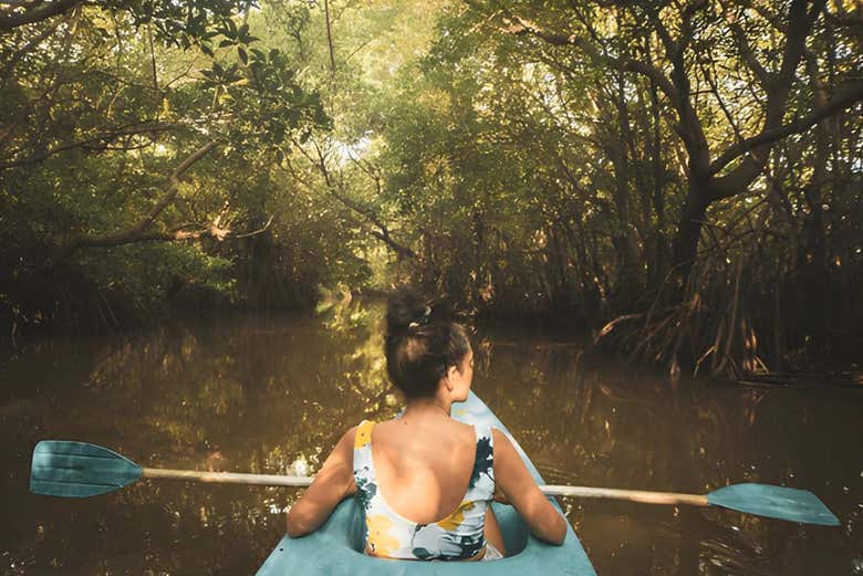 Será uma aventura única em Negombo!