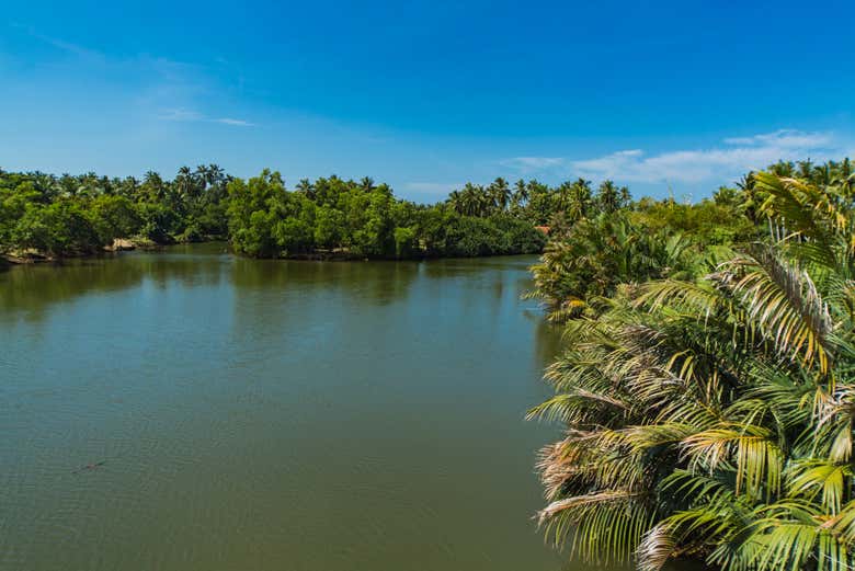 Lagoa de Negombo
